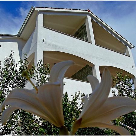 Apartments Purkovic ヴォディツェ エクステリア 写真