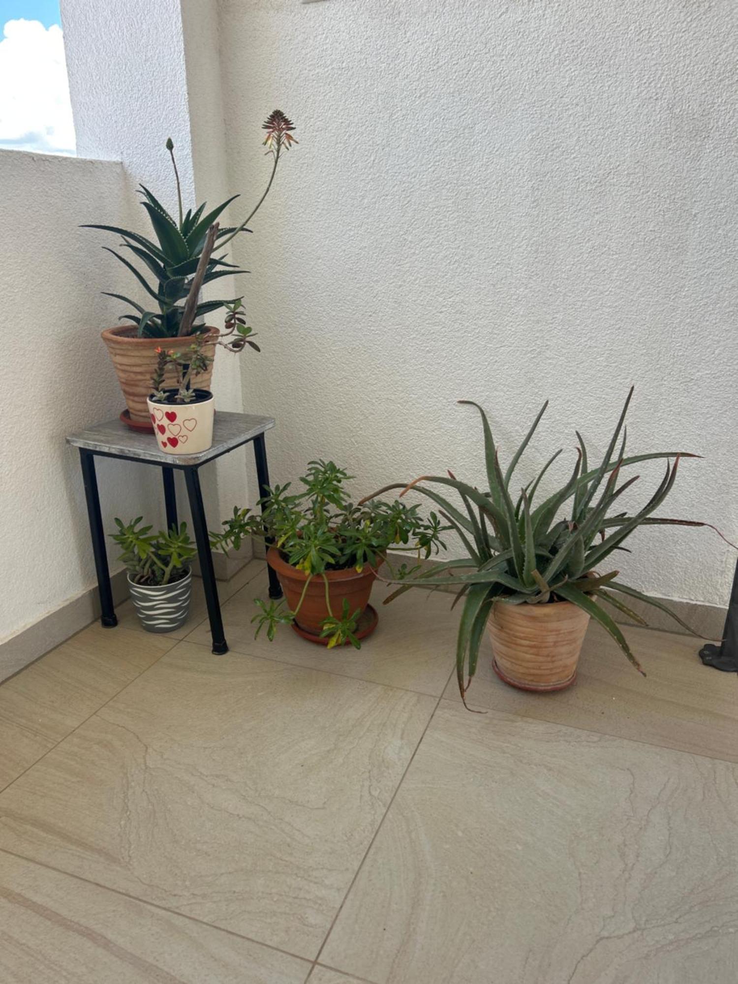 Apartments Purkovic ヴォディツェ エクステリア 写真