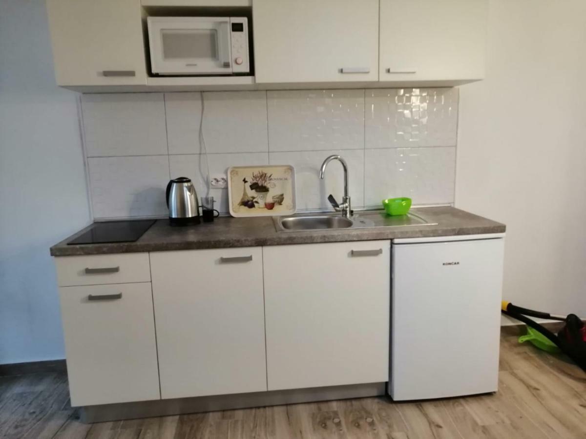 Apartments Purkovic ヴォディツェ エクステリア 写真